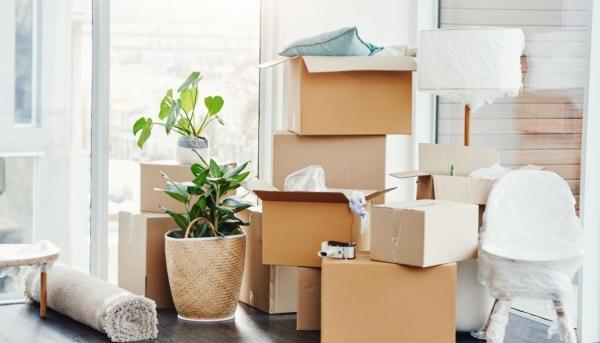 First Steps after Your Move First Steps after Your Move