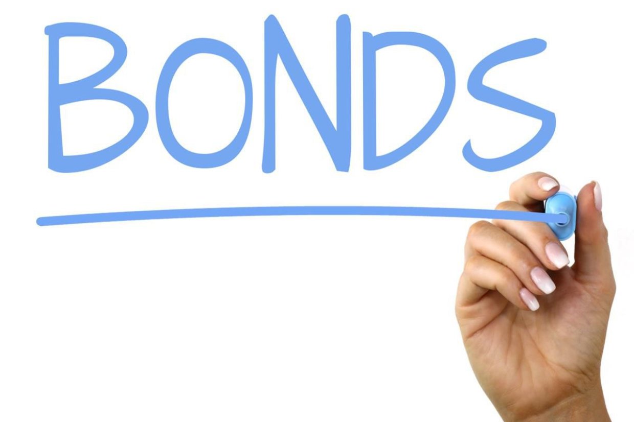 The frailties of diaspora bonds The frailties of diaspora bonds