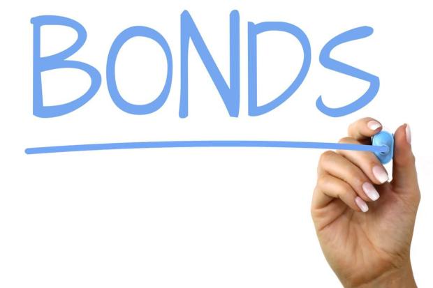 The frailties of diaspora bonds The frailties of diaspora bonds