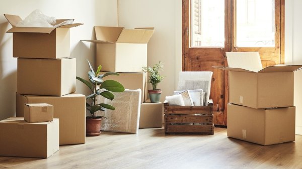 Moving Your Belongings: Long but Surprisingly Easy Process